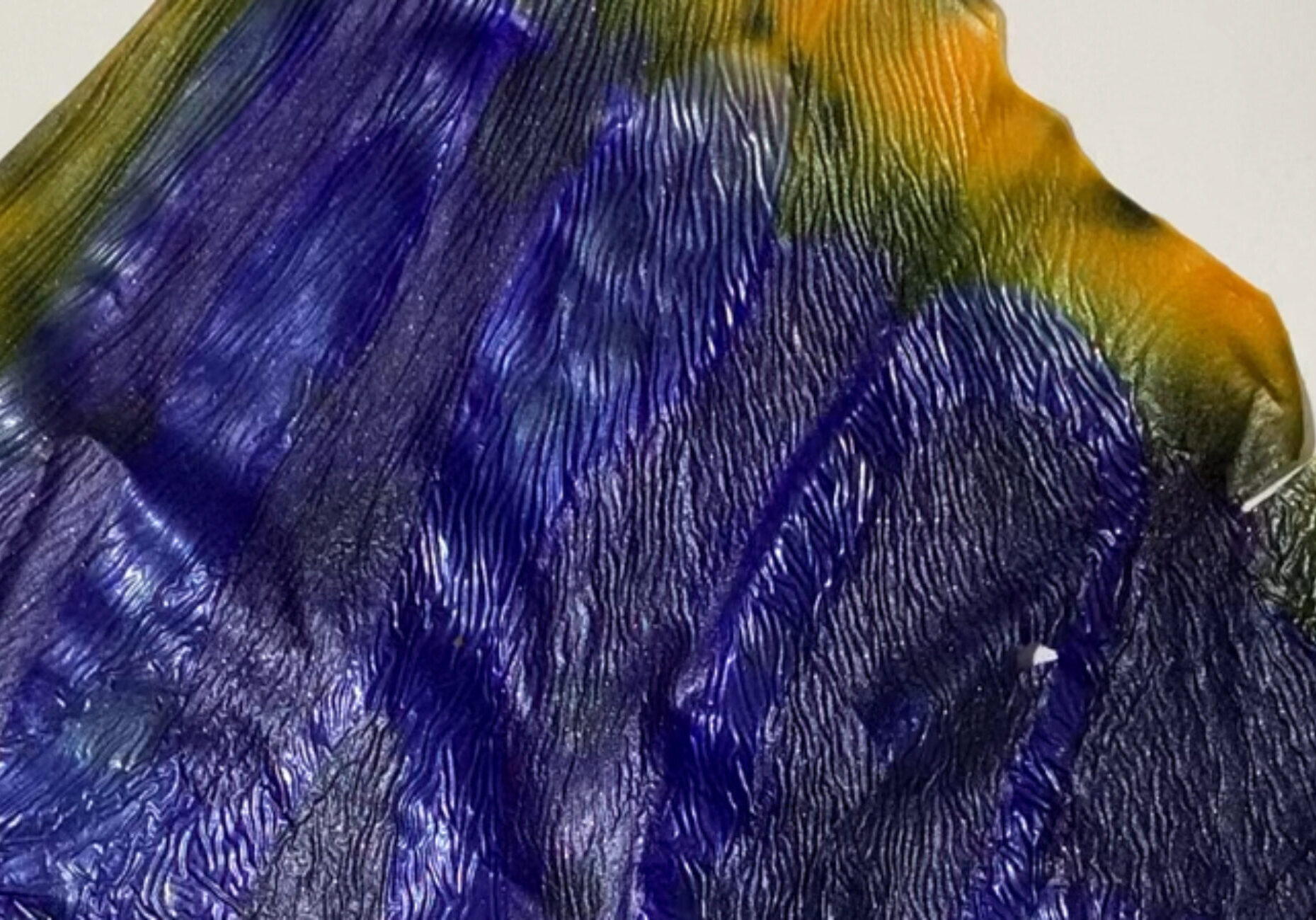 https://aula.biologystudio.com.mx/wp-content/uploads/2026/02/cropped-TEXTURAAGAR_01.jpg